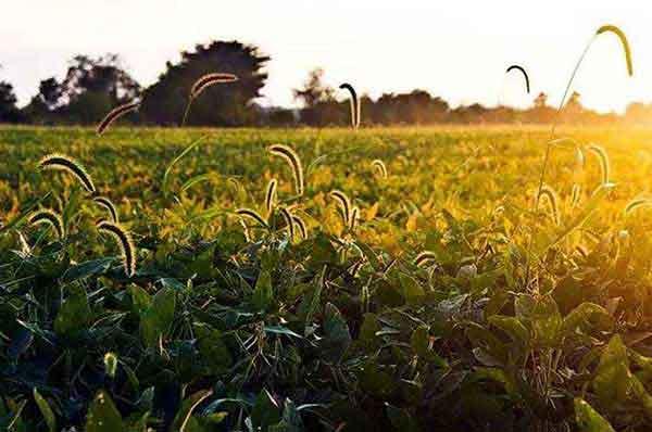 解讀《關(guān)于開(kāi)展第33個(gè)愛(ài)國(guó)衛(wèi)生月活動(dòng)的通知》