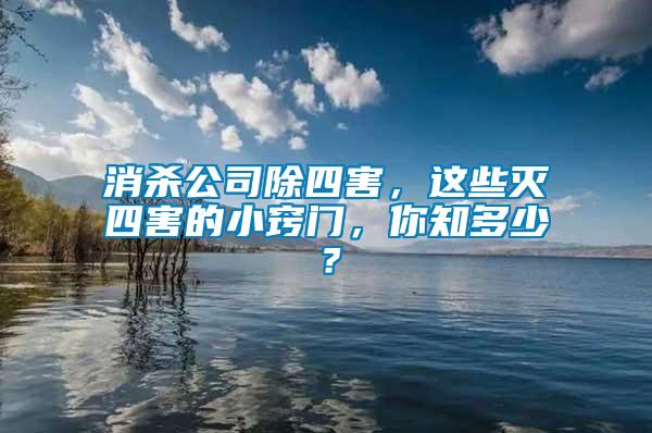 消殺公司除四害，這些滅四害的小竅門，你知多少？