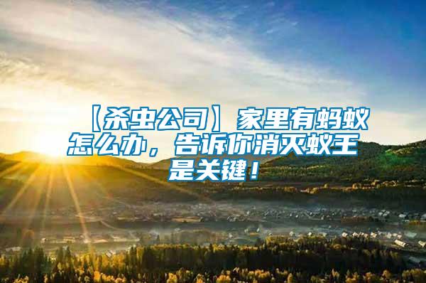 【殺蟲公司】家里有螞蟻怎么辦，告訴你消滅蟻王是關鍵！