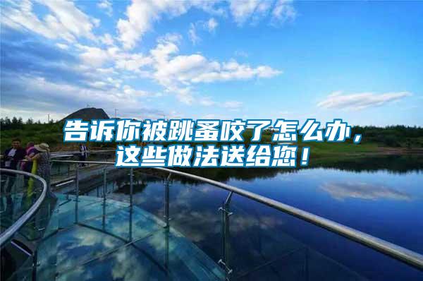 告訴你被跳蚤咬了怎么辦，這些做法送給您！