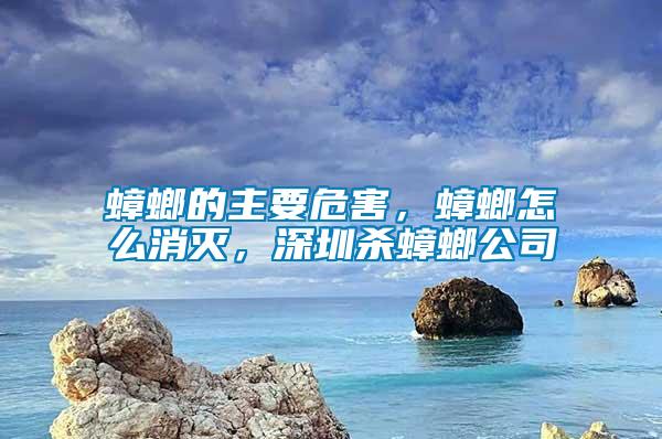 蟑螂的主要危害，蟑螂怎么消滅，深圳殺蟑螂公司