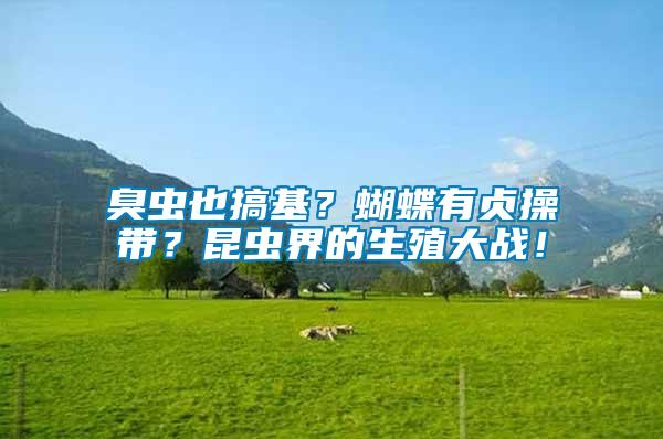 臭蟲也搞基？蝴蝶有貞操帶？昆蟲界的生殖大戰！