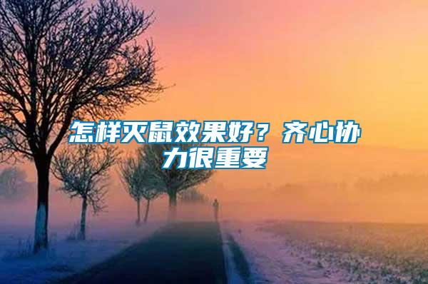 怎樣滅鼠效果好？齊心協(xié)力很重要