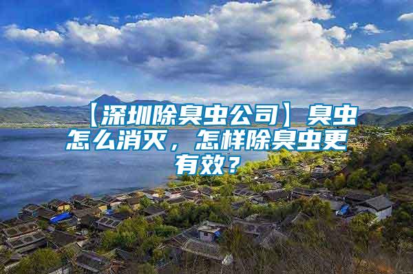 【深圳除臭蟲公司】臭蟲怎么消滅，怎樣除臭蟲更有效？