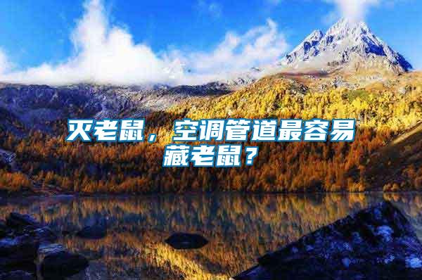 滅老鼠，空調管道最容易藏老鼠？