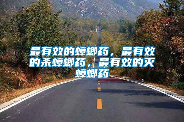 最有效的蟑螂藥，最有效的殺蟑螂藥，最有效的滅蟑螂藥