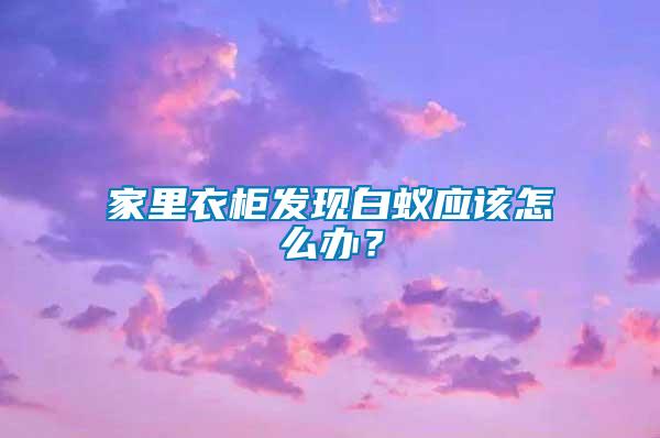 家里衣柜發現白蟻應該怎么辦？