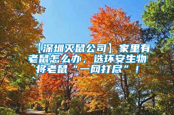 【深圳滅鼠公司】家里有老鼠怎么辦,選環(huán)安生物將老鼠“一網(wǎng)打盡”!