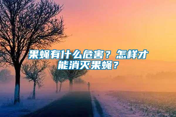 果蠅有什么危害？怎樣才能消滅果蠅？