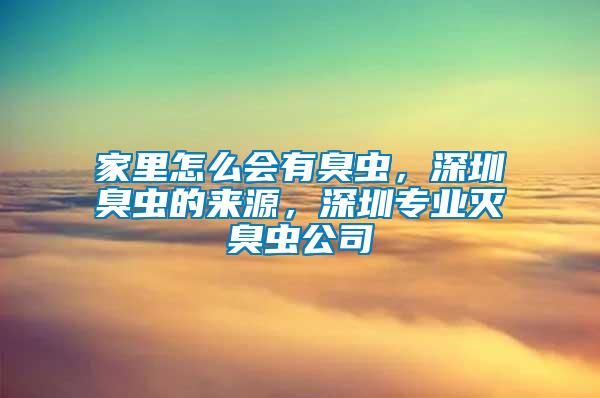 家里怎么會有臭蟲，深圳臭蟲的來源，深圳專業滅臭蟲公司