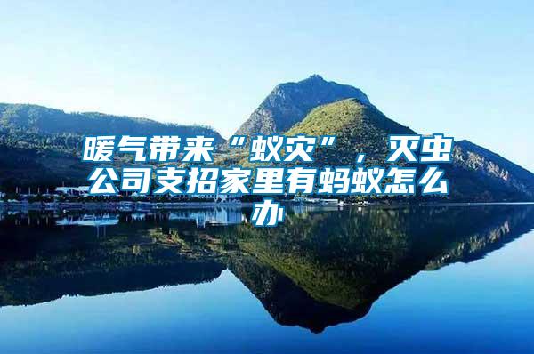 暖氣帶來“蟻災”，滅蟲公司支招家里有螞蟻怎么辦