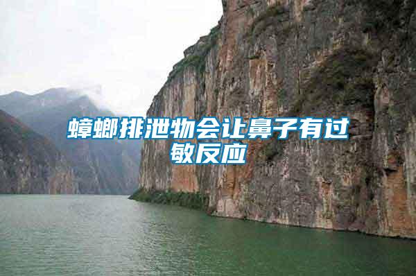 蟑螂排泄物會讓鼻子有過敏反應(yīng)