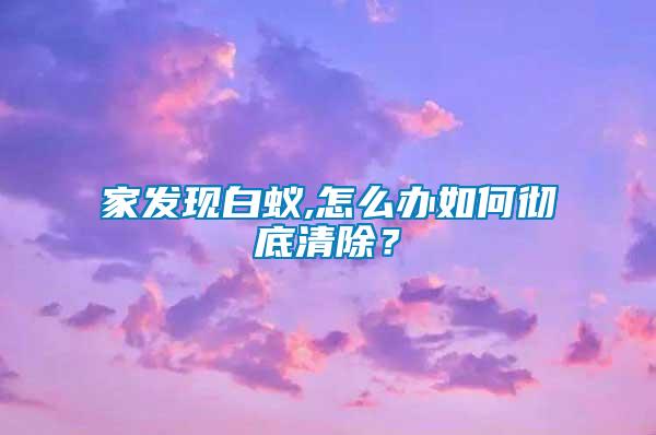 家發現白蟻,怎么辦如何徹底清除？