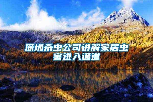 深圳殺蟲公司講解家居蟲害進入通道