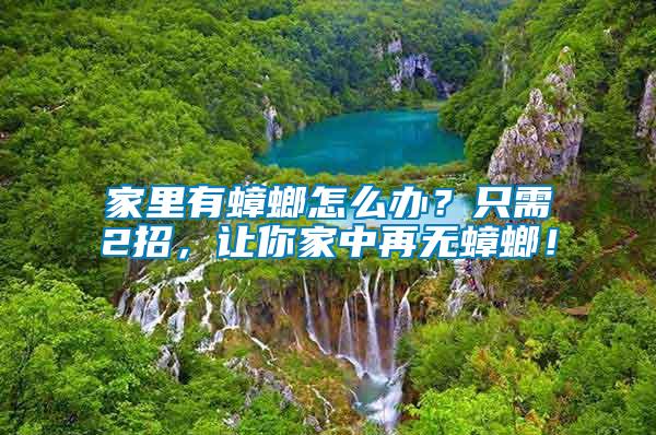 家里有蟑螂怎么辦？只需2招，讓你家中再無(wú)蟑螂！