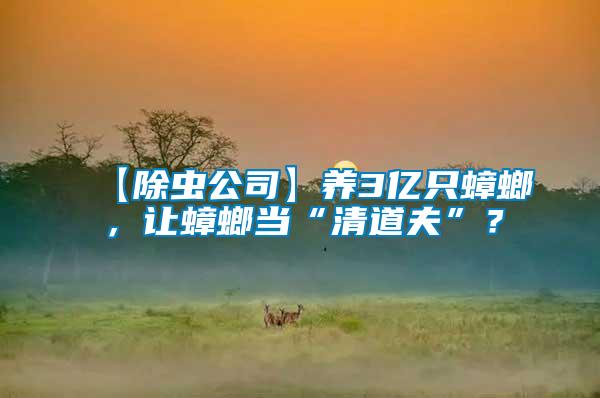 【除蟲公司】養3億只蟑螂，讓蟑螂當“清道夫”？