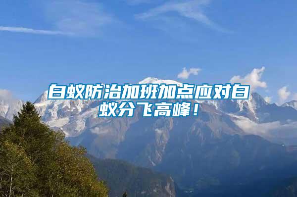 白蟻防治加班加點應對白蟻分飛高峰！