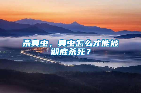 殺臭蟲(chóng)，臭蟲(chóng)怎么才能被徹底殺死？