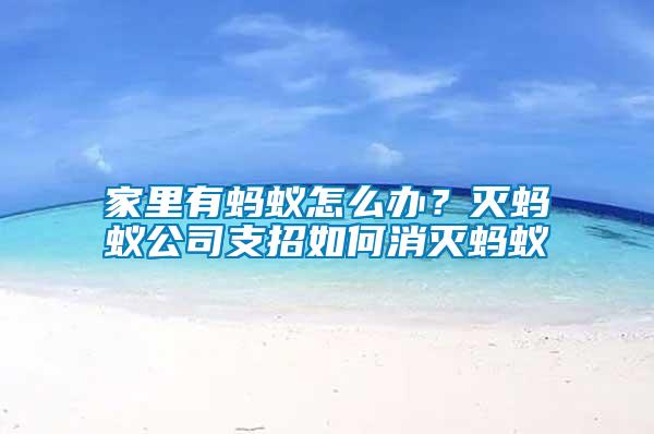 家里有螞蟻怎么辦？滅螞蟻公司支招如何消滅螞蟻