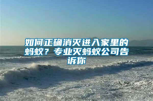 如何正確消滅進入家里的螞蟻?專業滅螞蟻公司告訴你