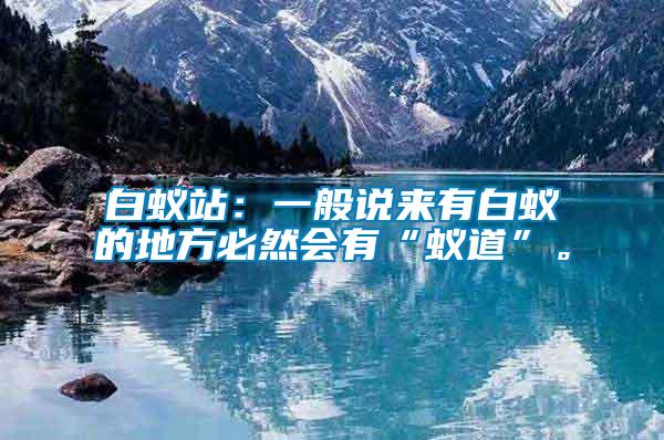 白蟻站：一般說來有白蟻的地方必然會(huì)有“蟻道”。