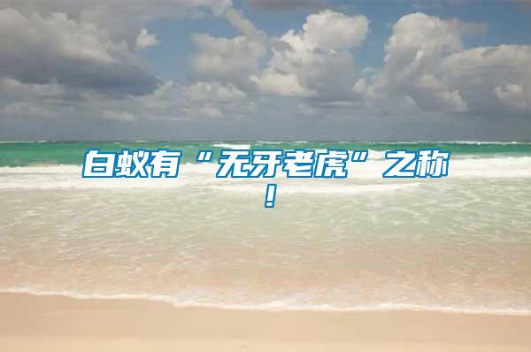 白蟻有“無牙老虎”之稱！