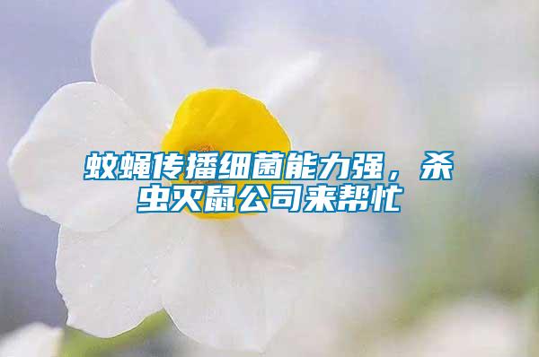 蚊蠅傳播細菌能力強，殺蟲滅鼠公司來幫忙
