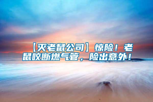 【滅老鼠公司】驚險！老鼠咬斷燃?xì)夤埽U出意外！