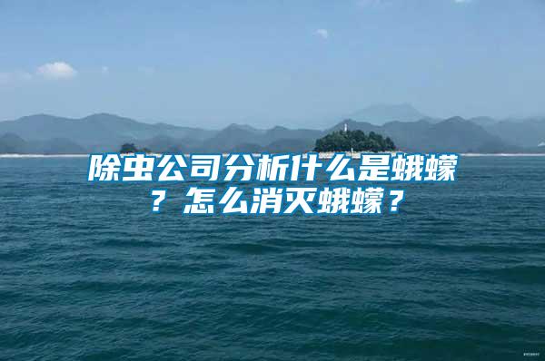 除蟲公司分析什么是蛾蠓？怎么消滅蛾蠓？