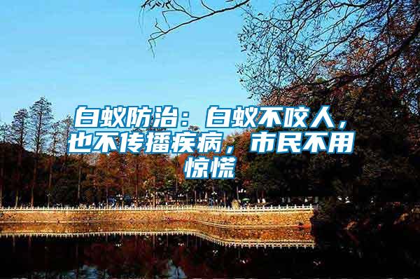 白蟻防治：白蟻不咬人，也不傳播疾病，市民不用驚慌