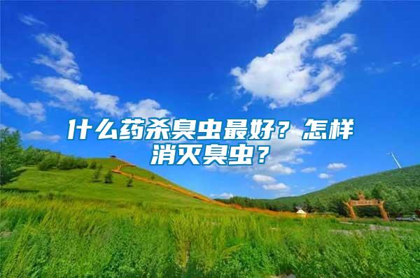 什么藥殺臭蟲(chóng)最好？怎樣消滅臭蟲(chóng)？