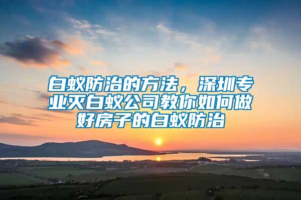 白蟻防治的方法，深圳專業(yè)滅白蟻公司教你如何做好房子的白蟻防治