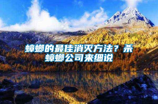 蟑螂的最佳消滅方法?殺蟑螂公司來細說