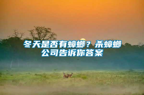 冬天是否有蟑螂？殺蟑螂公司告訴你答案