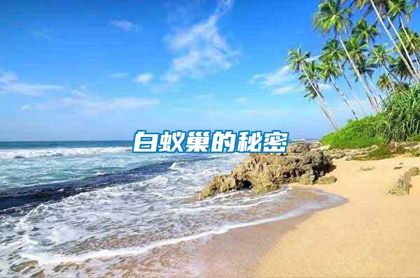 白蟻巢的秘密