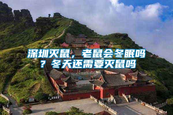 深圳滅鼠，老鼠會(huì)冬眠嗎？冬天還需要滅鼠嗎