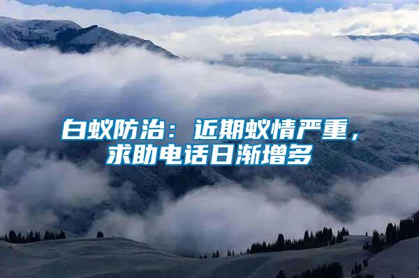 白蟻防治：近期蟻情嚴重，求助電話日漸增多