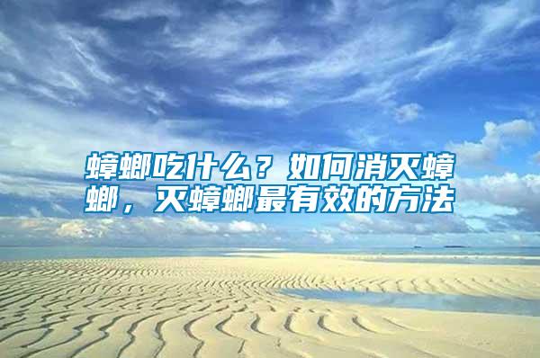 蟑螂吃什么？如何消滅蟑螂，滅蟑螂最有效的方法