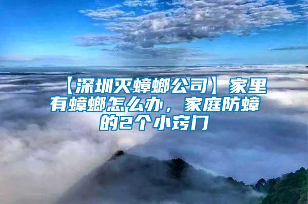 【深圳滅蟑螂公司】家里有蟑螂怎么辦，家庭防蟑的2個小竅門