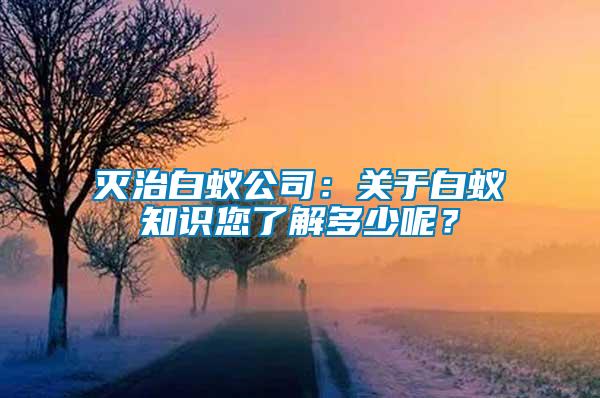 滅治白蟻公司：關于白蟻知識您了解多少呢？