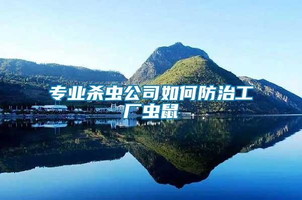 專業殺蟲公司如何防治工廠蟲鼠