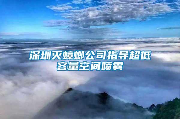 深圳滅蟑螂公司指導(dǎo)超低容量空間噴霧