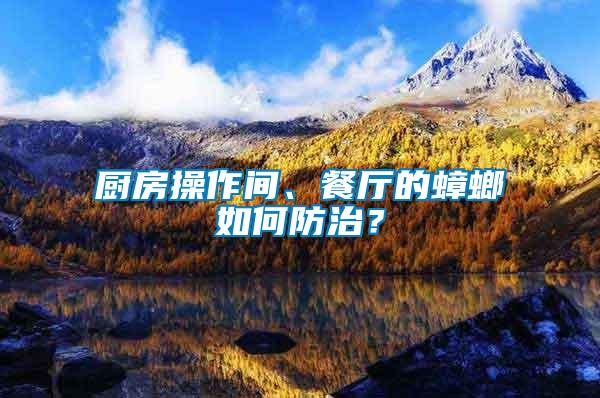 廚房操作間、餐廳的蟑螂如何防治？