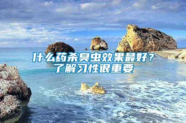 什么藥殺臭蟲效果最好？了解習(xí)性很重要