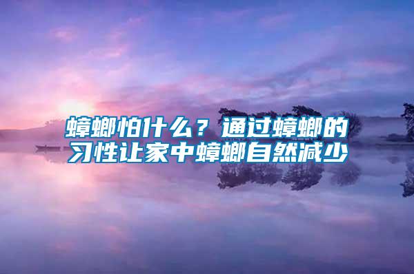 蟑螂怕什么？通過蟑螂的習性讓家中蟑螂自然減少