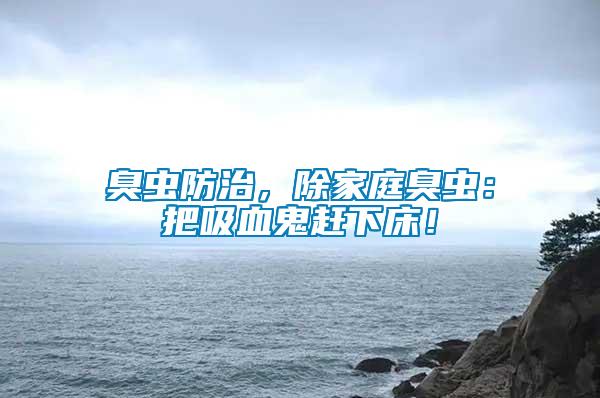 臭蟲防治，除家庭臭蟲：把吸血鬼趕下床！