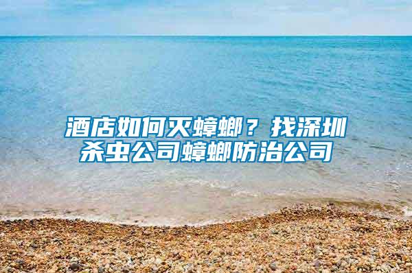 酒店如何滅蟑螂？找深圳殺蟲(chóng)公司蟑螂防治公司
