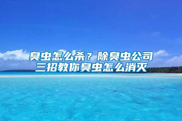 臭蟲怎么殺？除臭蟲公司三招教你臭蟲怎么消滅