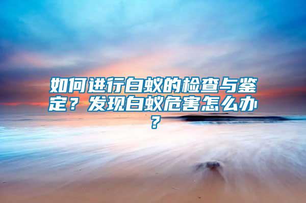 如何進行白蟻的檢查與鑒定？發現白蟻危害怎么辦？
