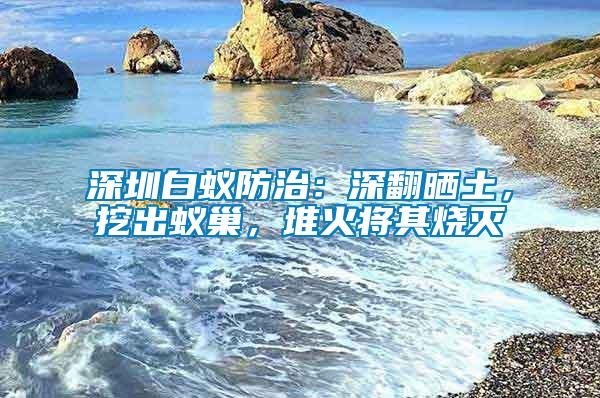 深圳白蟻防治：深翻曬土，挖出蟻巢，堆火將其燒滅